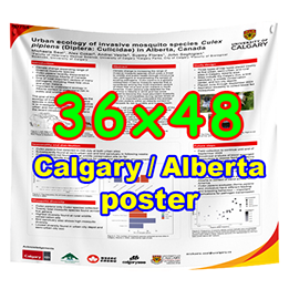 Calgary Poster - Cheapest Fabric & Paper Poster Printing 36x48 from $70